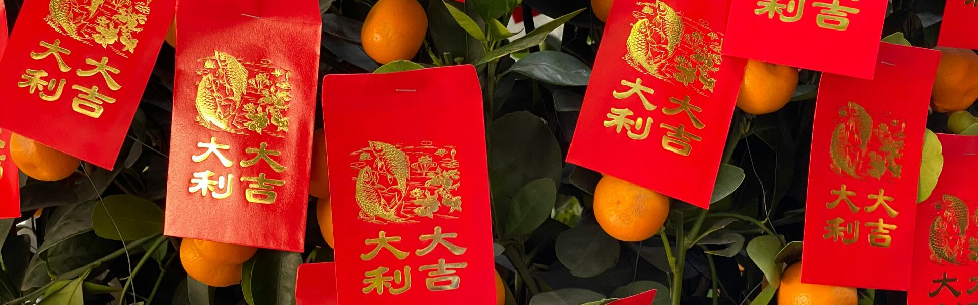 The Year of the Dragon marks the beginning of a new era. May your work be prosperous and successful!