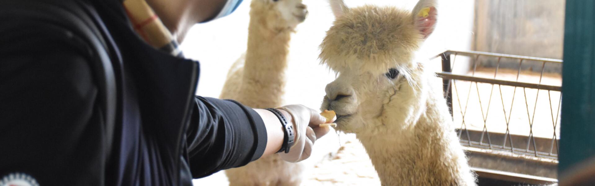 Breaking the Biotechnology Barrier: The Mission of the - Mythical Creature