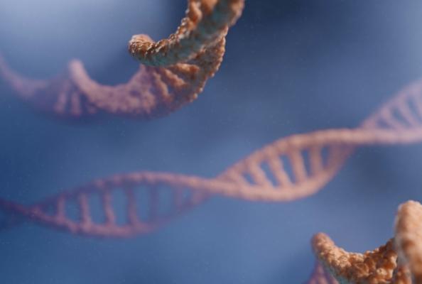 Can This Virus Actually Have Anti-Cancer Effects?