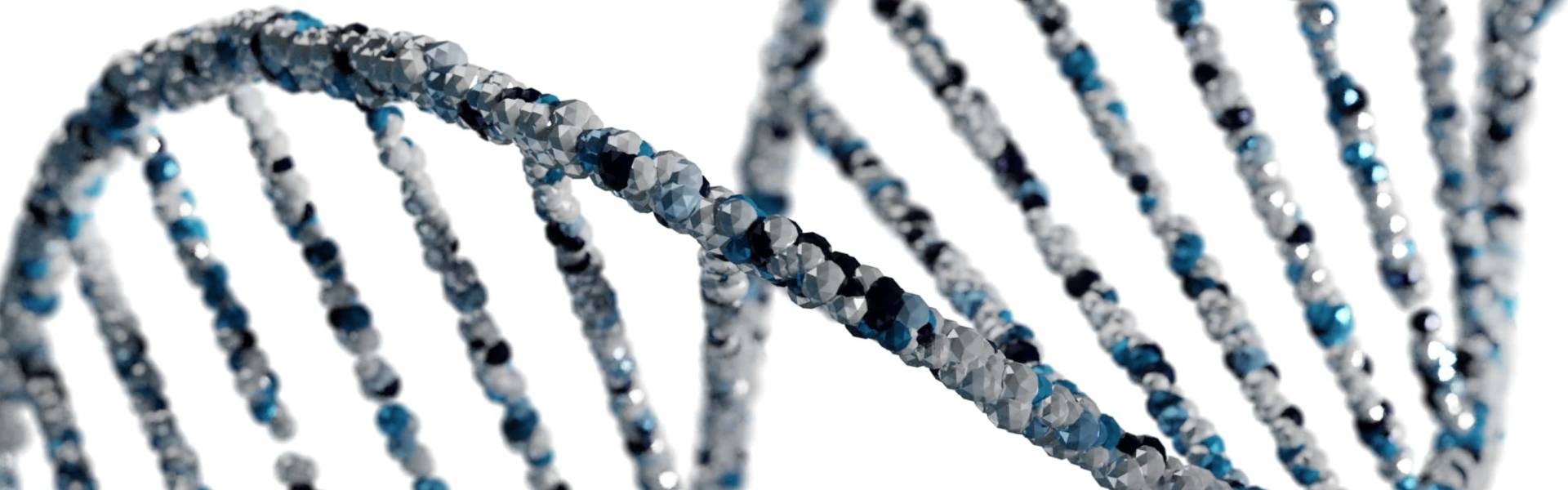 The Road to a Cure for Lupus Erythematosus