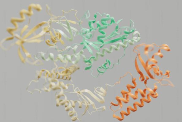 Recent Advances in Targeted Protein Degradation Technology Based on Nanobodies