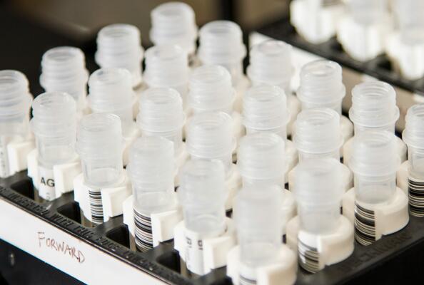 Market Status and Development Potential of Nanobody