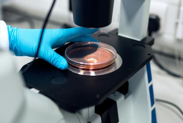 Exploration of Targeted Immobilization Techniques Based on Nanobody Technology