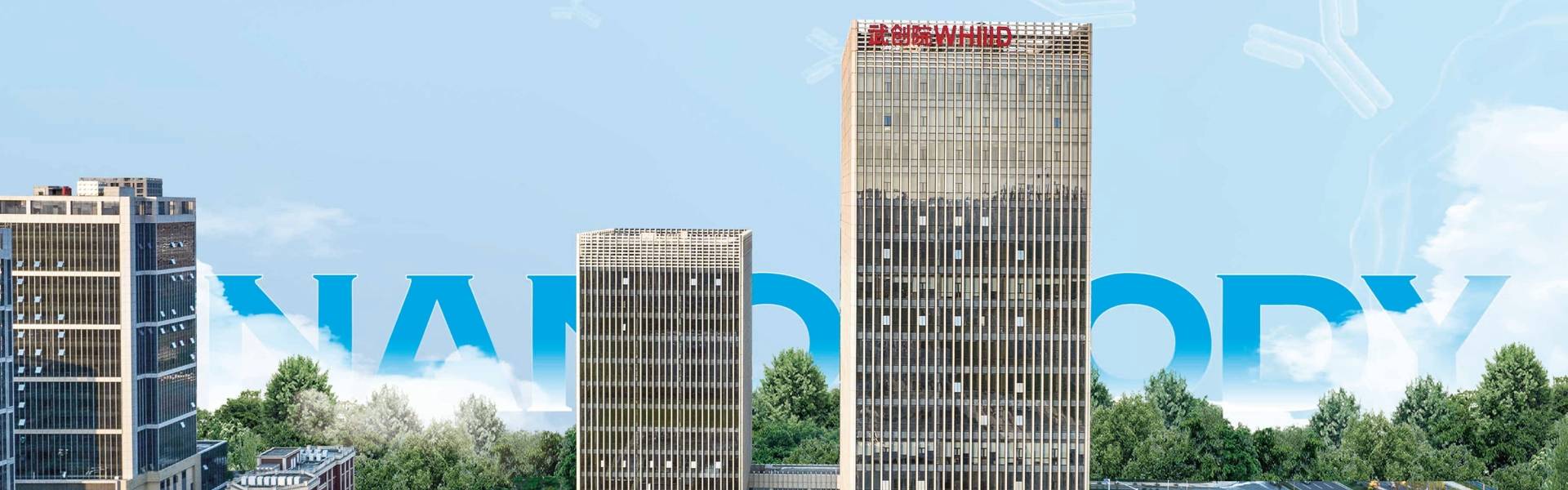 Devote to nanobody research, integrate scientific research and industrial innovation.