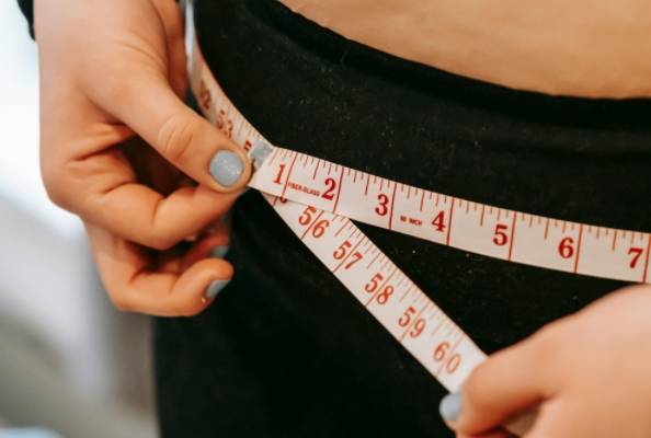 New Drug Targets for Weight Loss and Novel Approaches for Muscle Gain