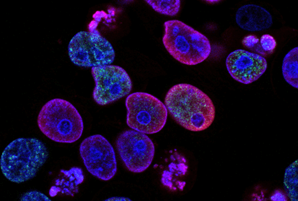 It will also unlock the mysteries of the body!