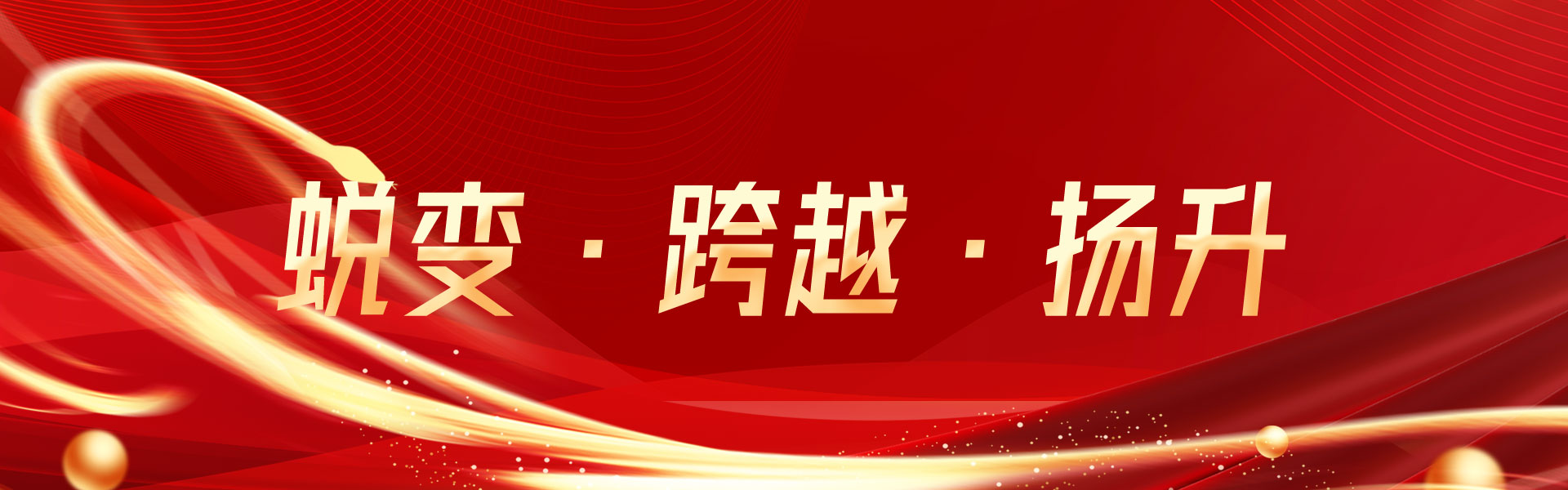 Nabo Life's 2024 Annual Summary and 2025 Annual Plan Meeting was successfully held.