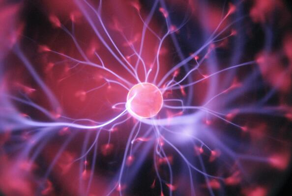 Assessing the Viability of the Nanobody Industry