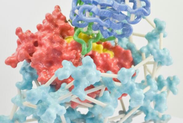 CXCR4: An Important Chemokine Receptor with Multiple Application Fields