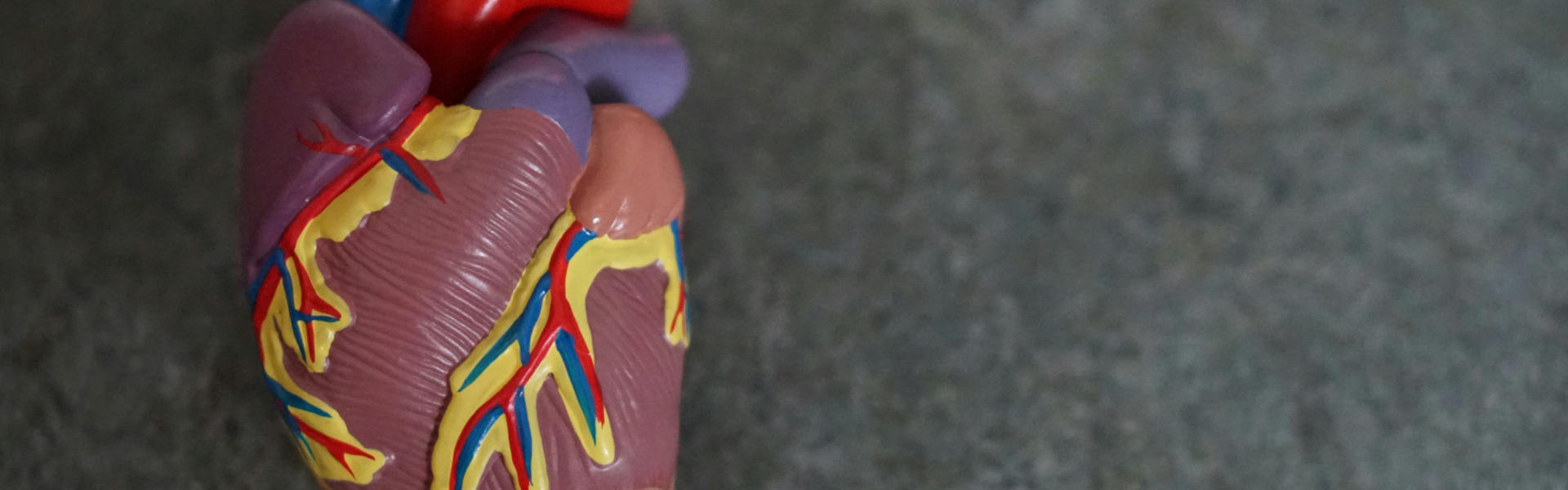 Nanobodies Reveal Angiotensin Receptor Activation Mechanism, Advancing GPCR Structural Research