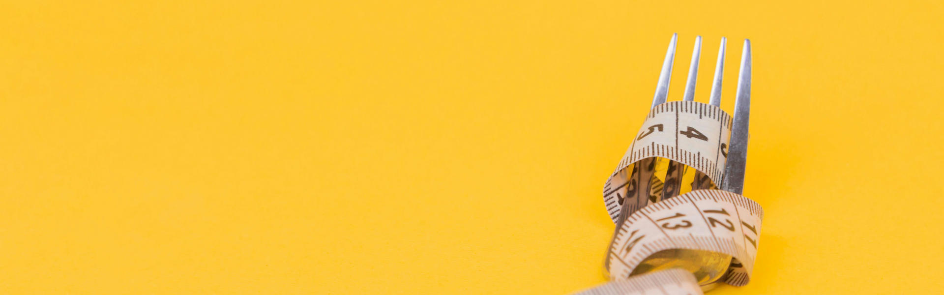 A New Pathway for Obesity Treatment: LGR4-Targeting Nanobody