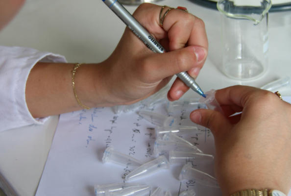 PD-1 Nanobodies and Off-the-Shelf Immune Library