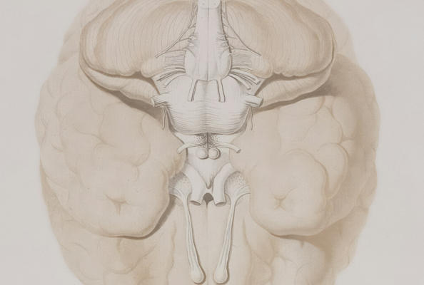 Targeting mGlu to Ameliorate Behavioral Deficits Associated with NMDA Receptor Hypofunction