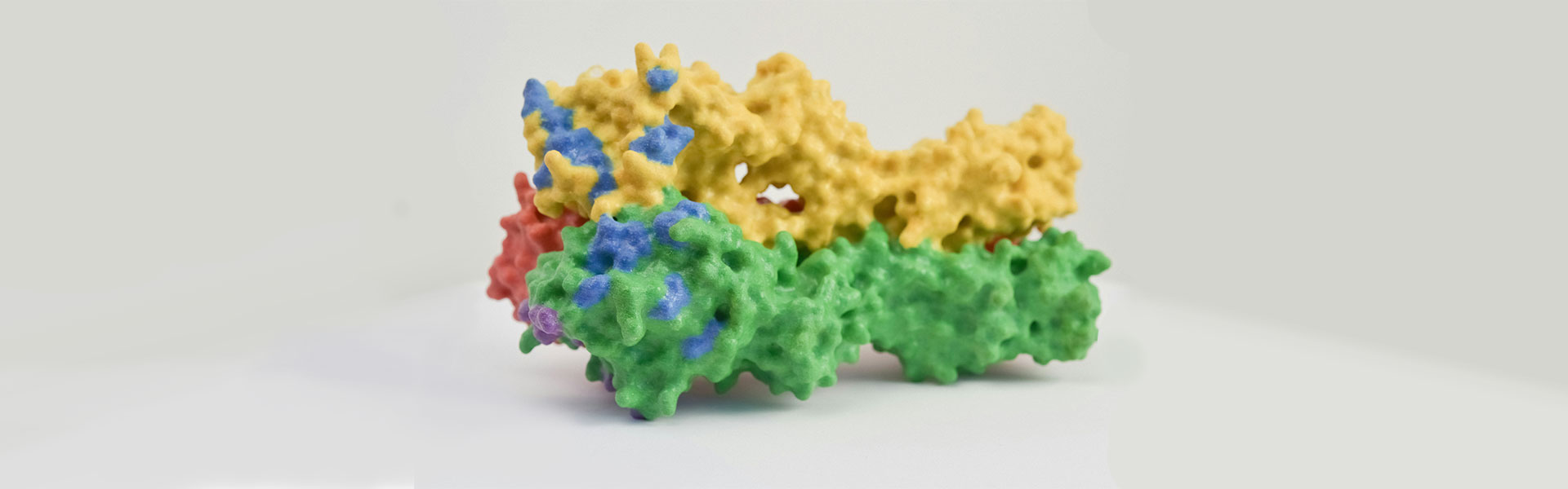 NBLST Immune Library: Empowering TSLP Antibody Drug Development-nbs