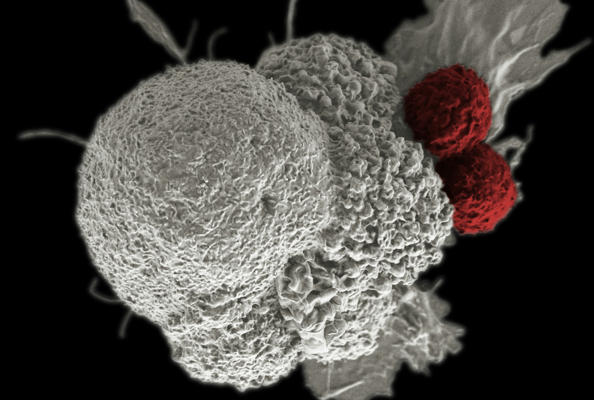 From Clinical Application of the c-MET Target to Nanobody Drug Development