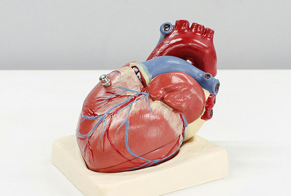 New Breakthrough in Nanobodies: Precise Regulation of Post-Translational Modifications of Proteins