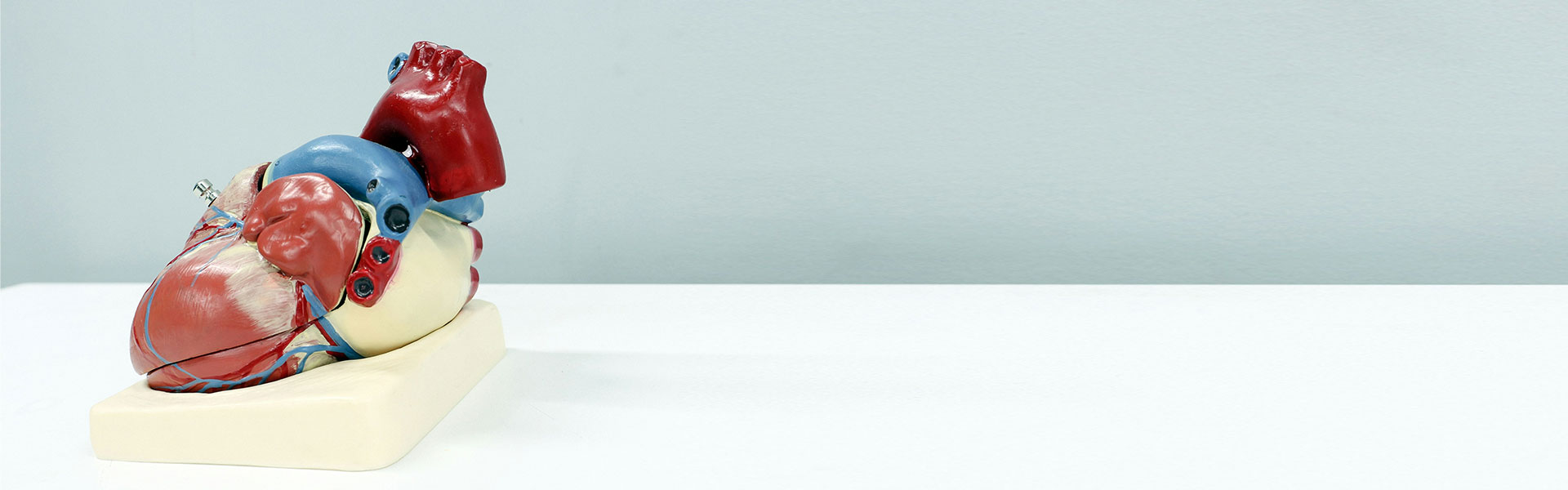 New Breakthrough in Nanobodies: Precise Regulation of Post-Translational Modifications of Proteins