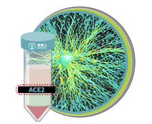 Ready-to-Ship Products