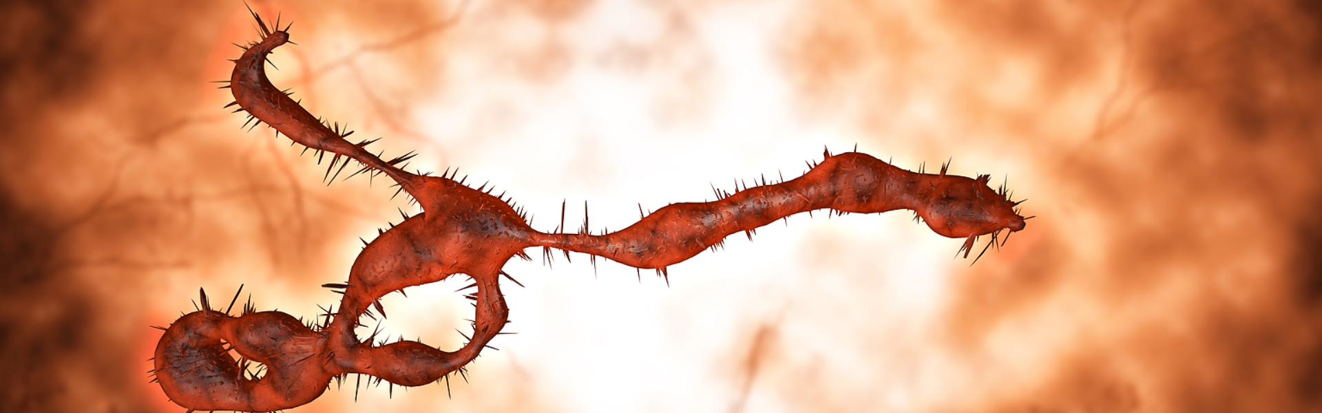 Ebola Treatment Breakthrough: Nanobodies as Promising Broad-Spectrum Antivirals