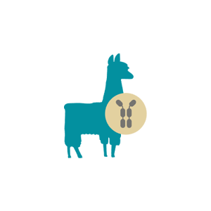 Naive Alpaca-Derived Products