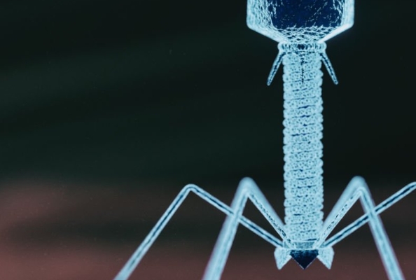 Nabphage advanced phage display
