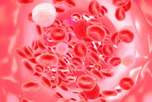 CD25 ADC Advances to Clinic: Target Mechanisms & Nanobody Development Prospects