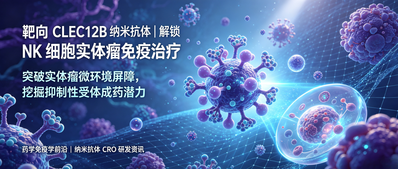 Targeting CLEC12B Nanobodies | Unlocking NK Cell Solid Tumor Immunotherapy